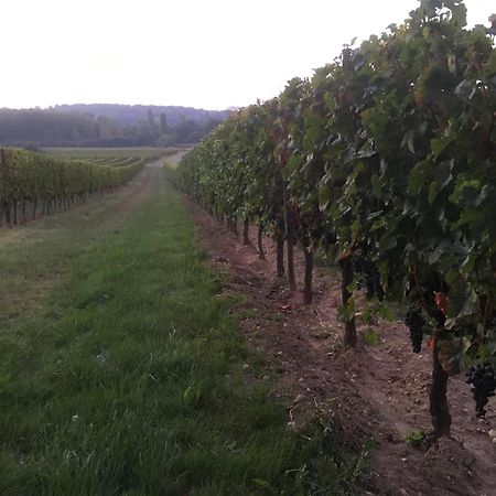 Chateau Le Noble Winery Near St Emilion Saint-Germain-du-Puch Esterno foto