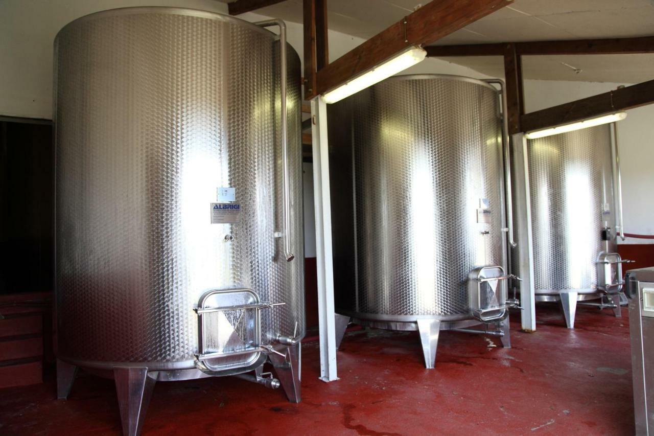 Chateau Le Noble Winery Near St Emilion Saint-Germain-du-Puch Esterno foto